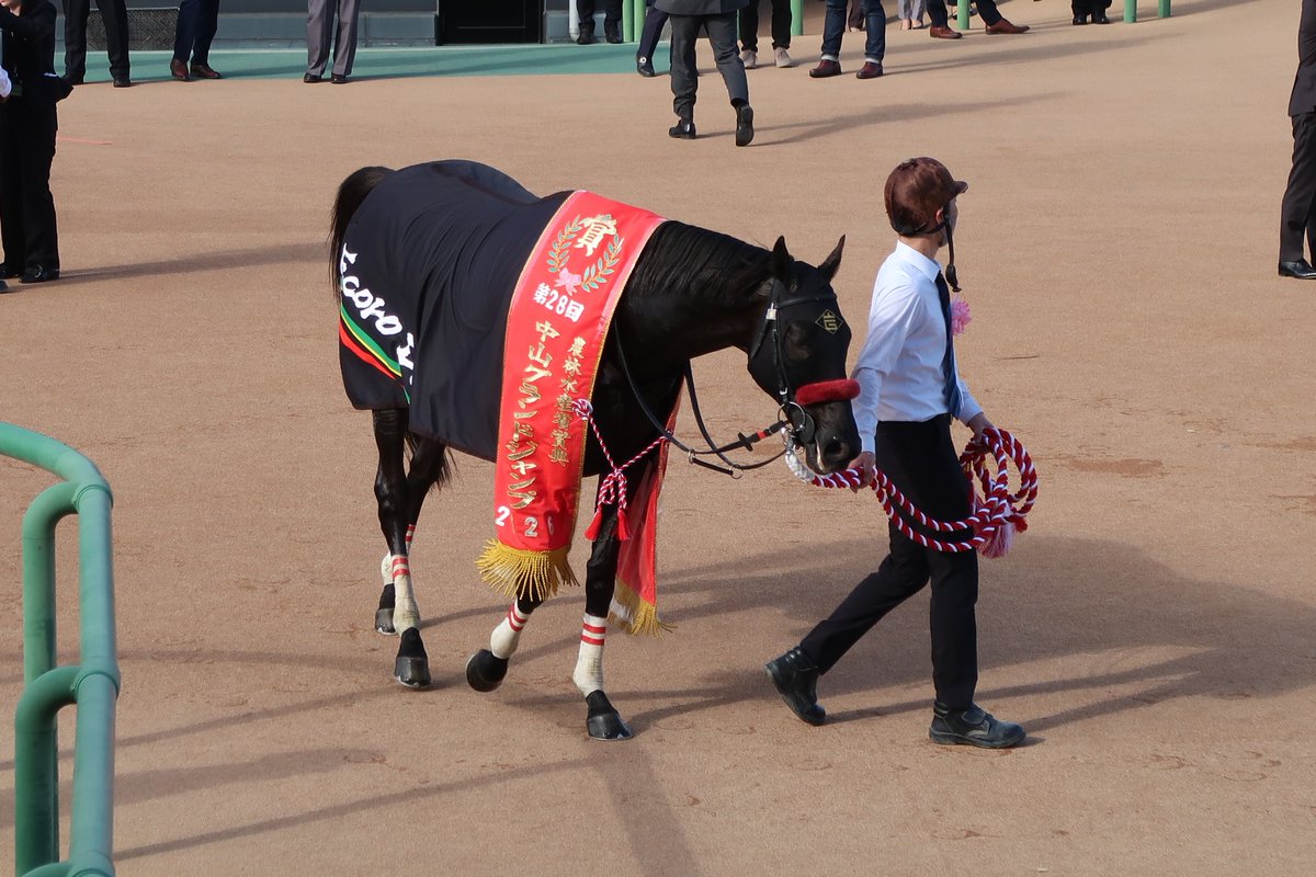 でぃしくん tweet media