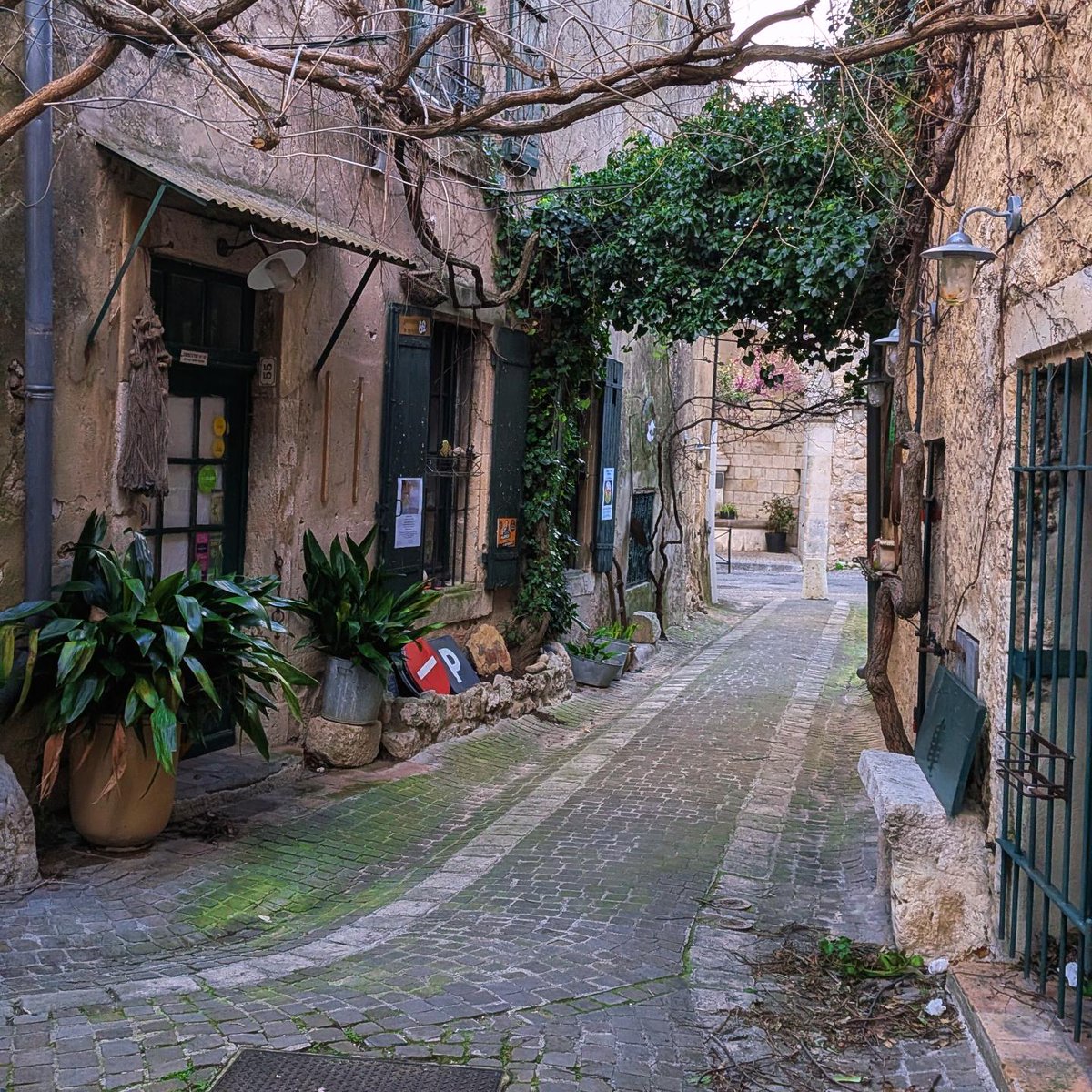 rom_gail's tweet image. Visite dans l'un des plus beaux villages de France situé dans le département de la Drôme. La Garde Adhémar.
#Weekend #Drôme #GoodVibes #PlusBeauxVillagesdeFrance #Patrimoine #Nature #Paysage #Balade