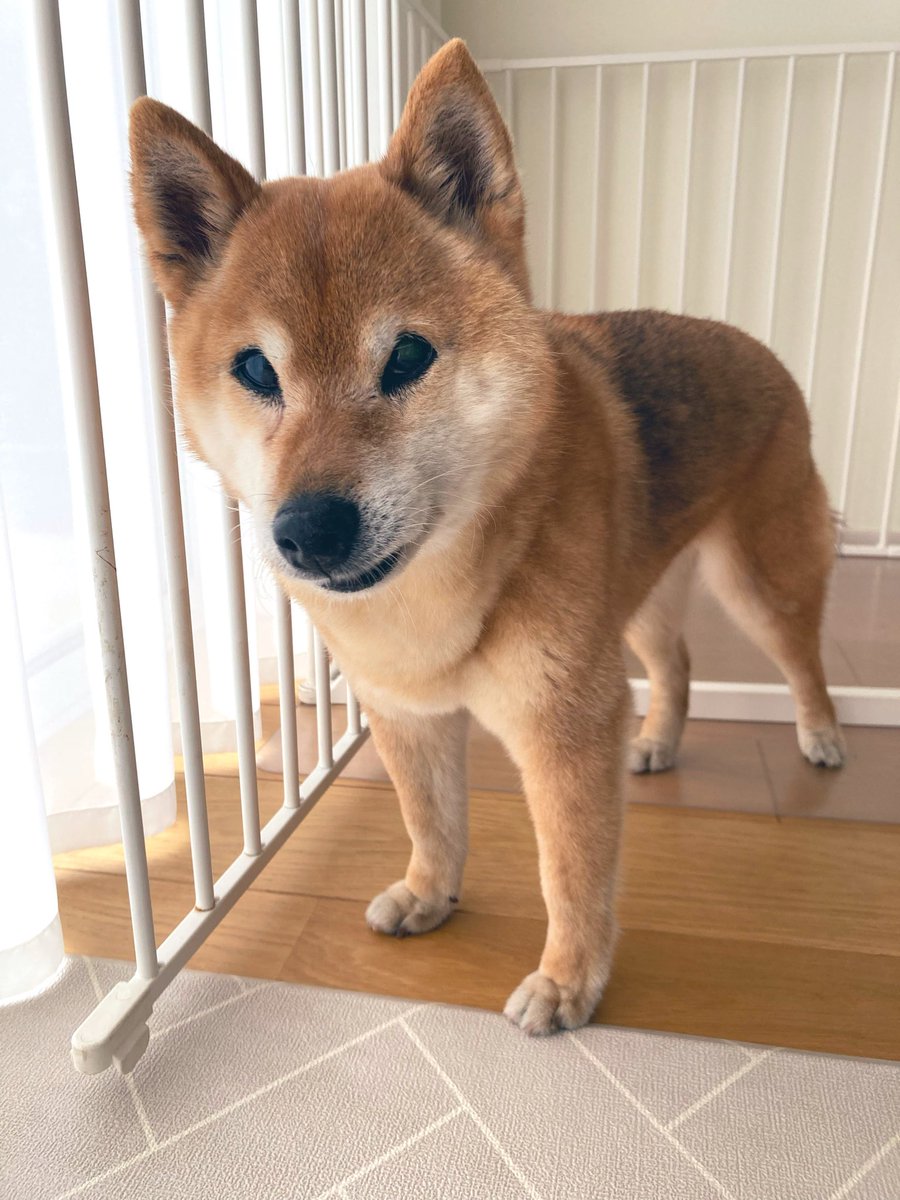 みさき tweet media