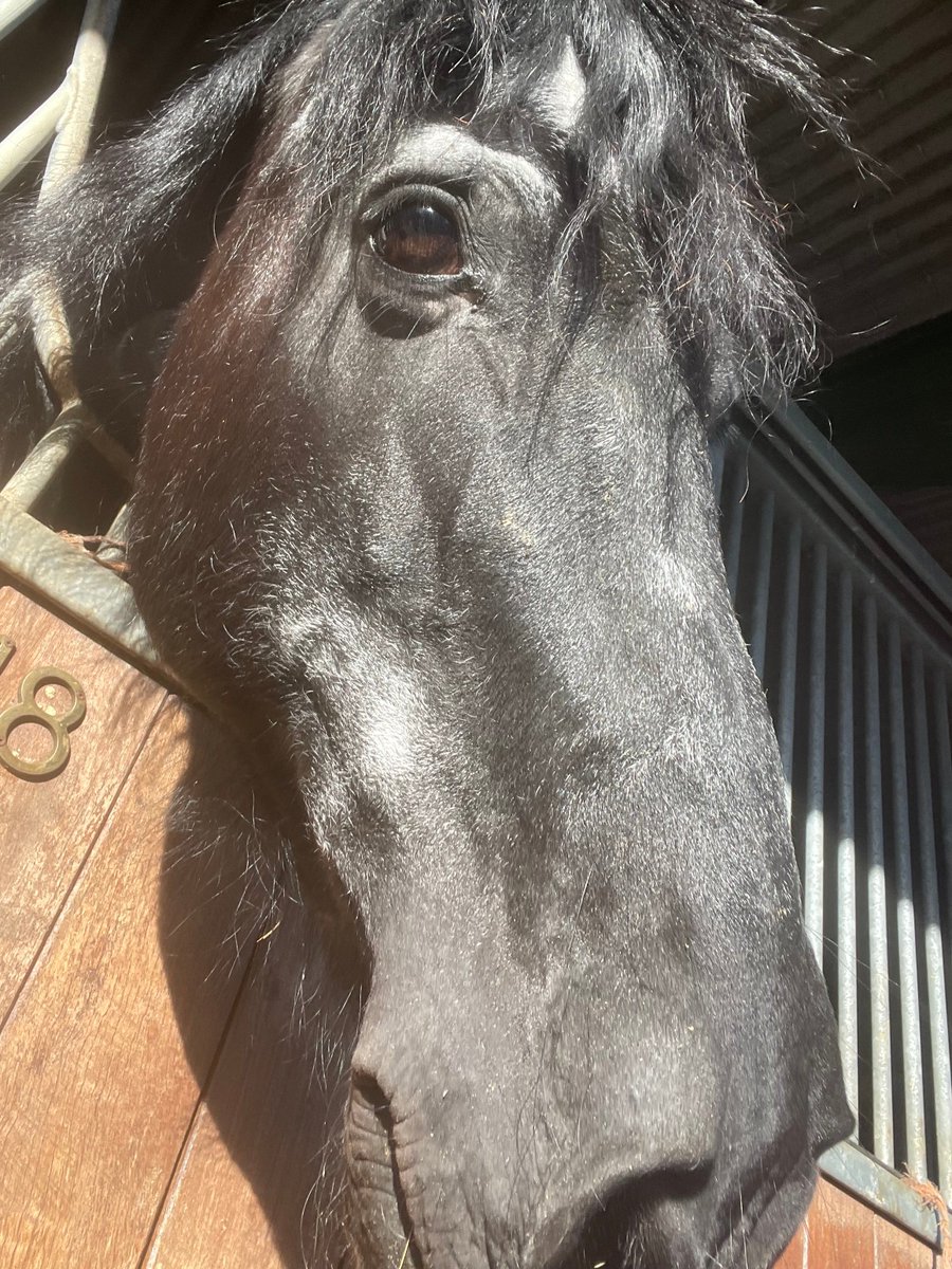 Gareth Williams. tweet media