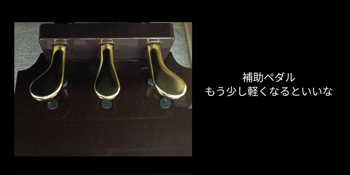 しばたに tweet media