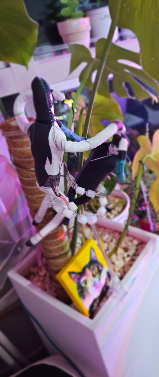 🌻아도.🌻 tweet media