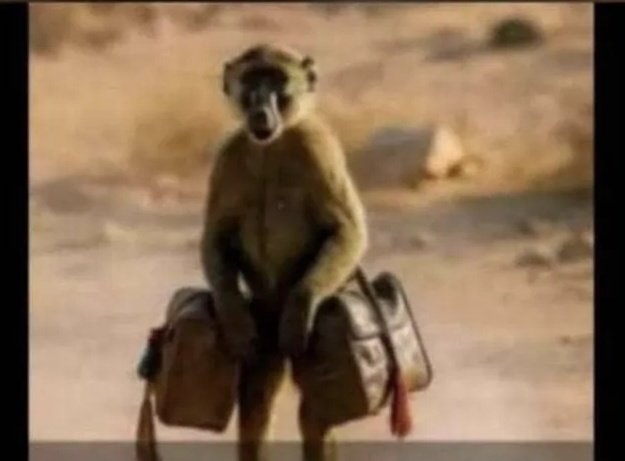 The Reserved Guy tweet media