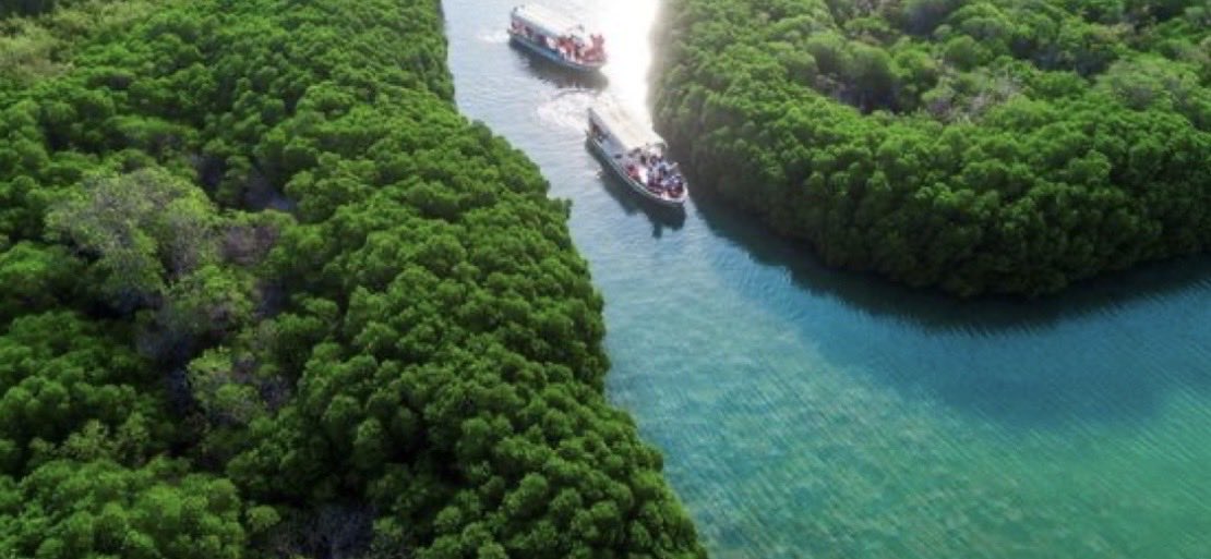 FAHAD ALBAQAMI ⚡️ tweet media