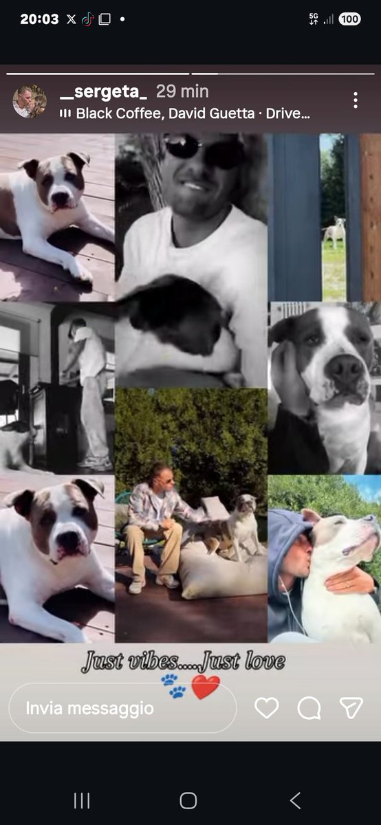 Buongiorno con lui è  padma 🦮🩵🦦🤍#SD8