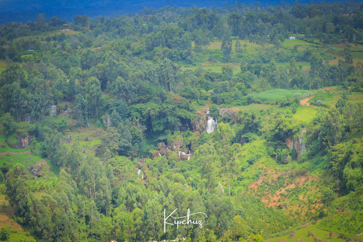 GREAT-NESS tweet media