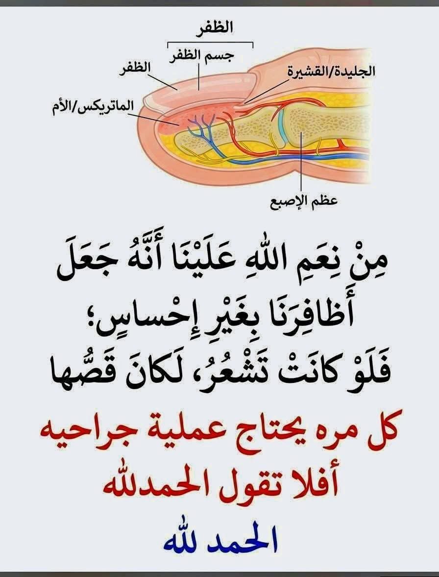 عقيًل بن محمد العقيًل( أبو أنس) tweet media