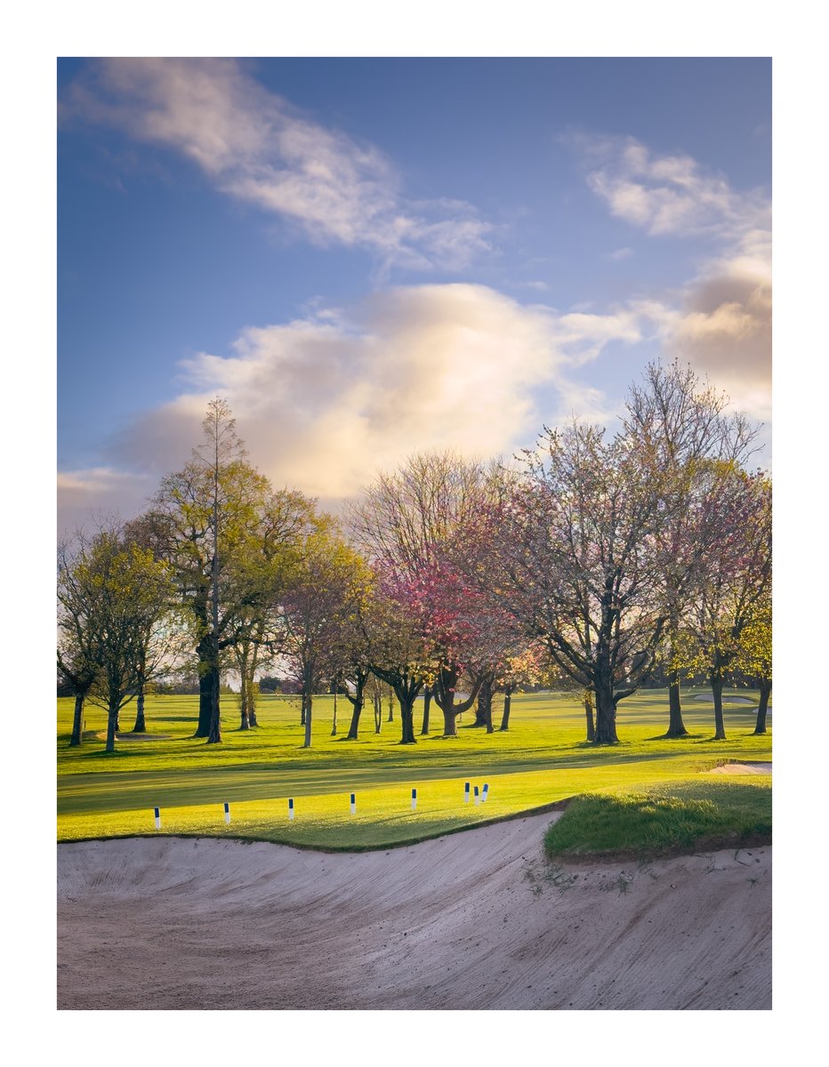 RoyalBurgess ProShop tweet media