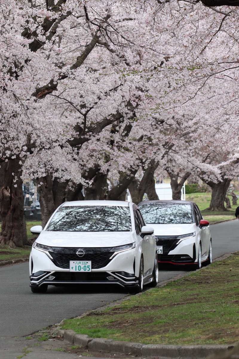 thirurun2's tweet photo. #八戸市 #桜 #オーラ https://t.co/bi1NuoHQA5