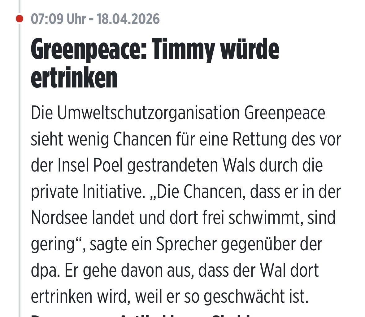 „Geringe Chancen.“

Also gibt es eine.

Und genau deshalb kämpft man.

#Timmy #Chance