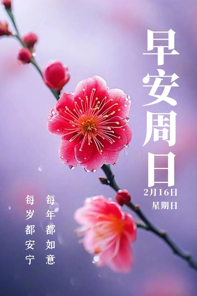 か tweet media