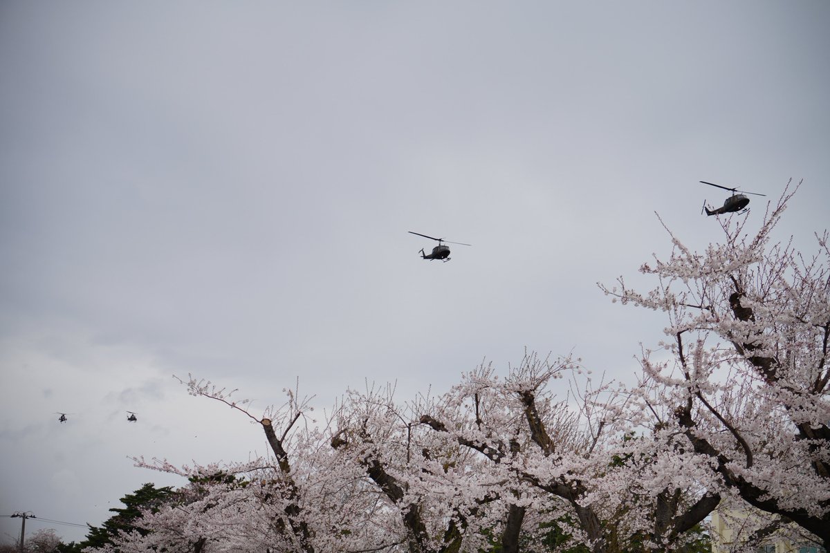 かりぶち ひかり tweet media