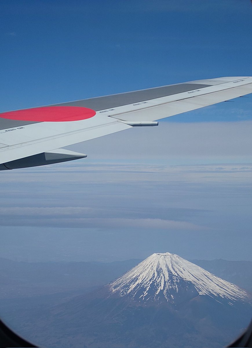 Poki⚓️ tweet media