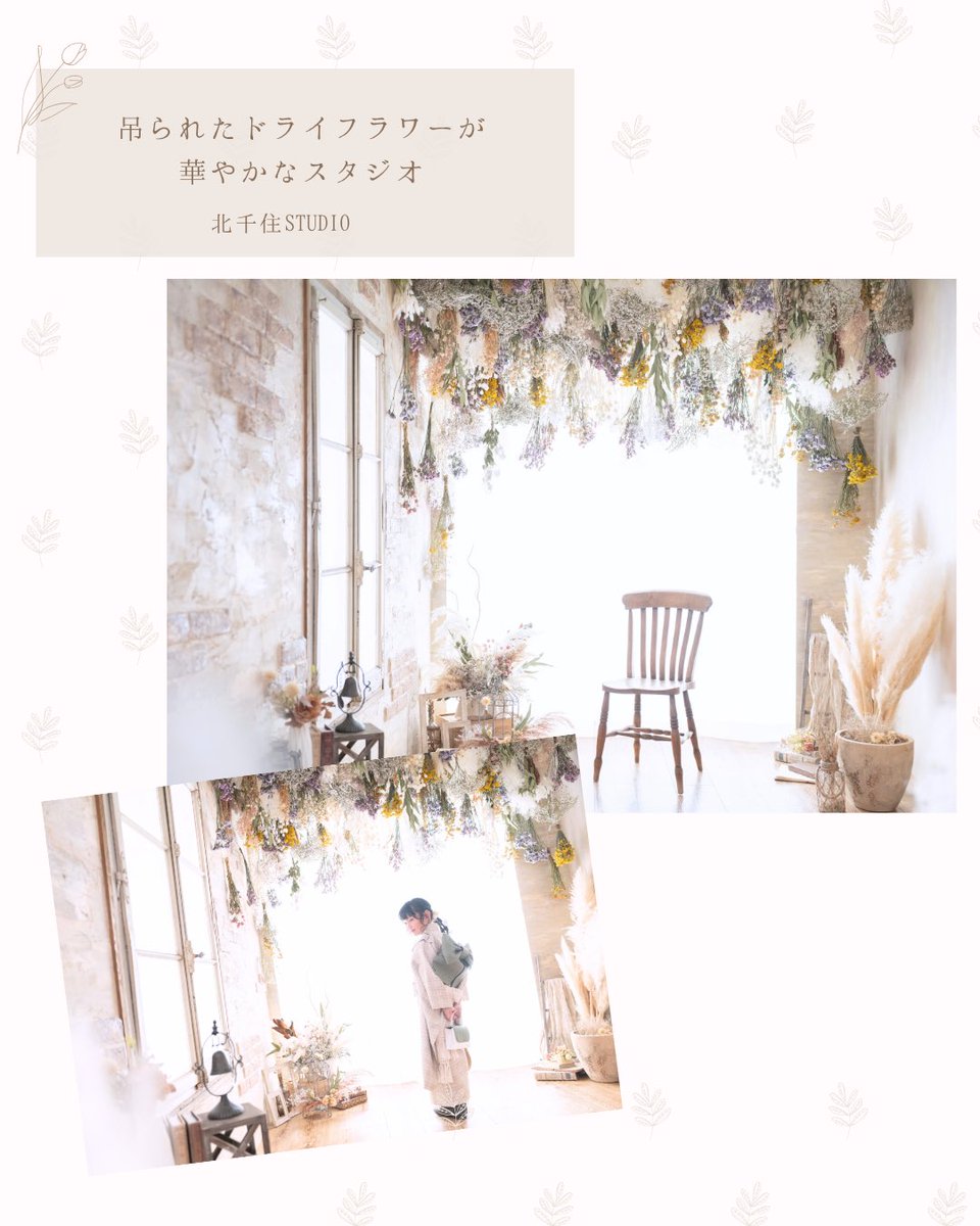 スタジオコフレ公式 tweet media
