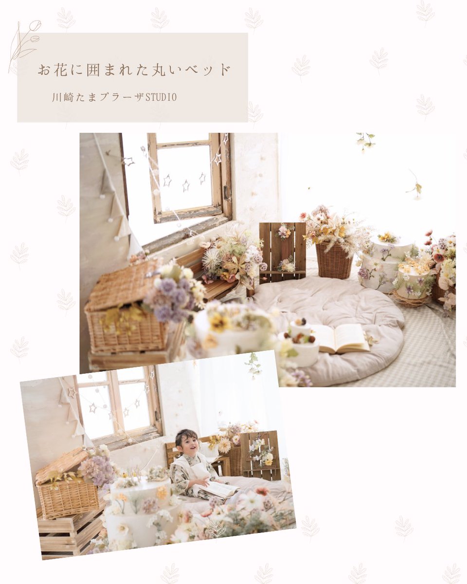 スタジオコフレ公式 tweet media
