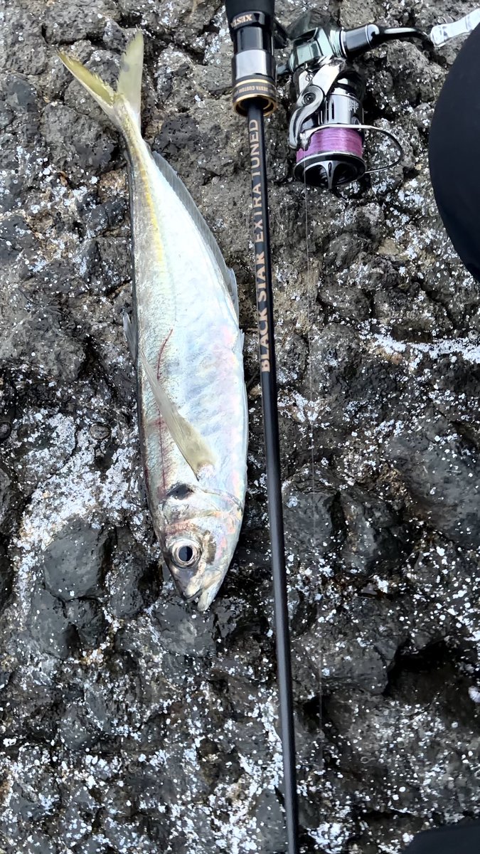 高橋ケンイチ KEN'S CRAFT （PR） tweet media