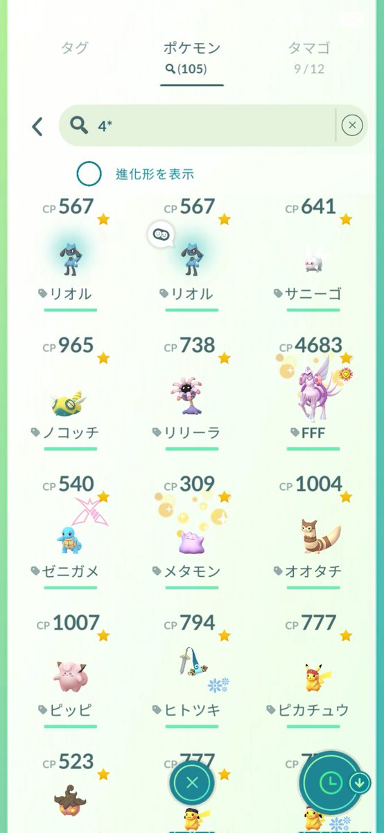 のらいぬ🐶 tweet media