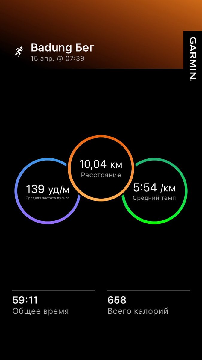 попугай кешью tweet media