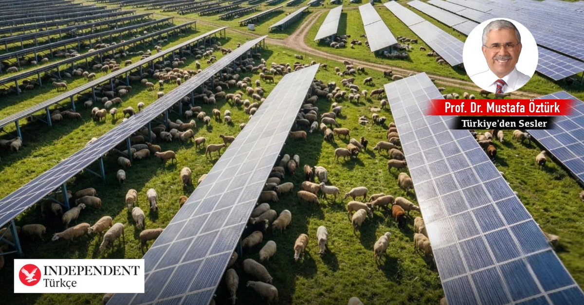 ozturk_mustafa's tweet photo. Prof. Dr. Mustafa Öztürk, "tarımsal fotovoltaik"i yazdı: Hem güneş enerjisi hem de tarım ve hayvancılık
☀️ Güneş panelleri aynı anda hem elektrik üretip hem de koyunları besleyebilir mi?
🌱 Tarım arazilerinde yüzde 70’e varan verim artışı gerçekten mümkün mü?
🇹🇷 Türkiye’de agrivoltaik sistemler neden hâlâ yaygın değil?
https://t.co/SQUh0er0WS