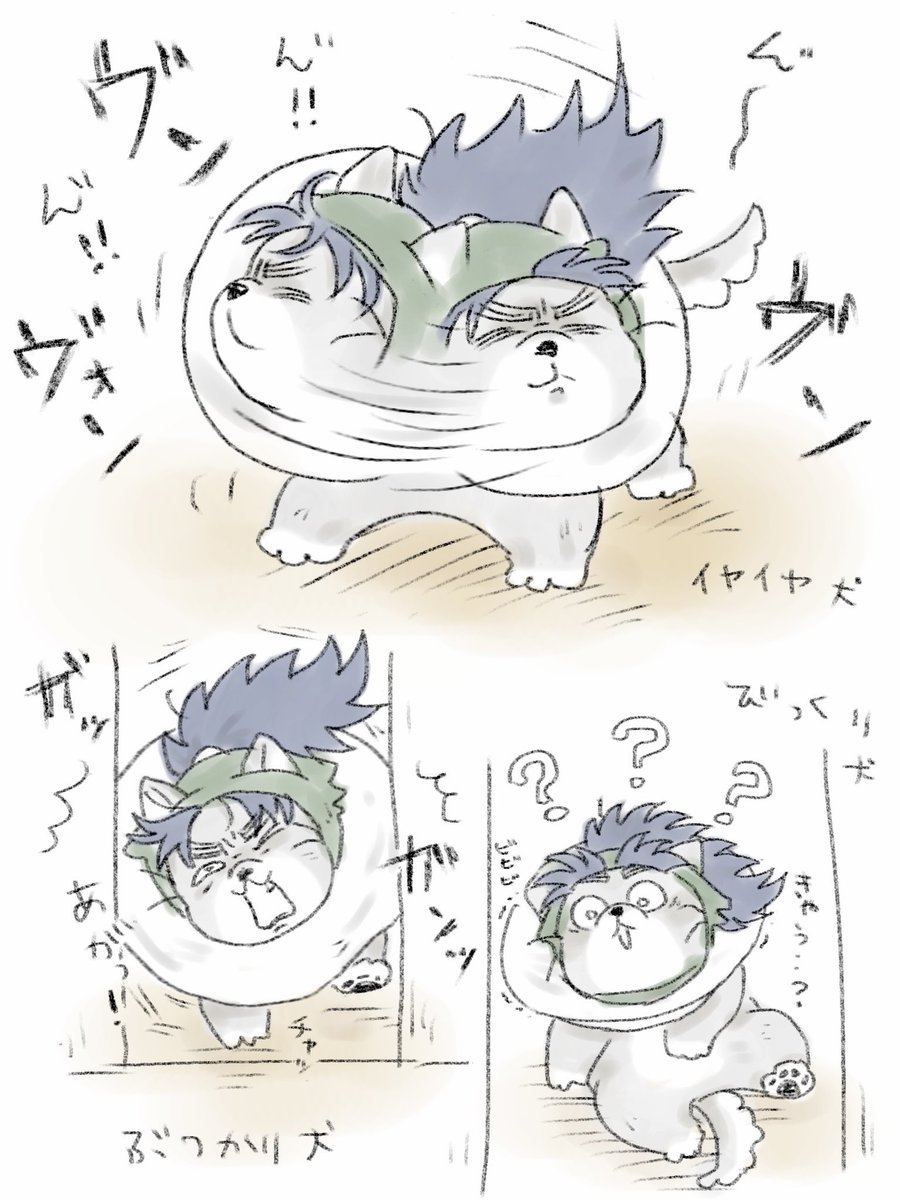oekakitokazatta's tweet photo. ザベスカラー🐶 https://t.co/mzHcaqPMef