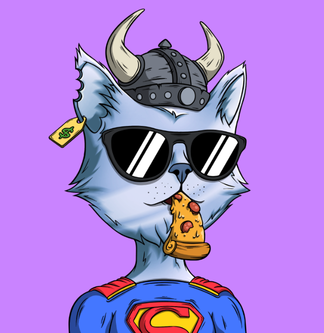 Weekend vibes 🍕😻