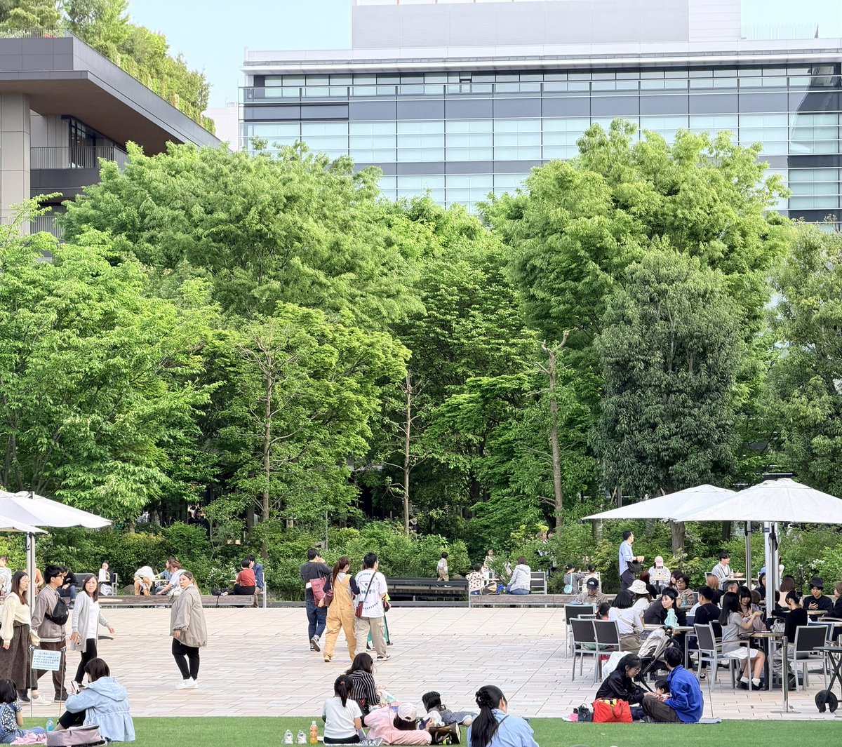 T.T.T計画 tweet media