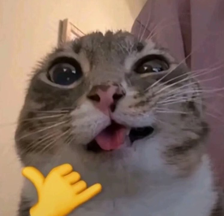 nomnom tweet media