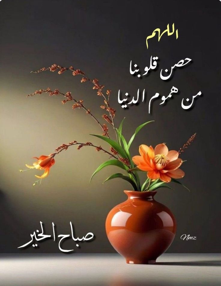 Mahmoud Hashish tweet media