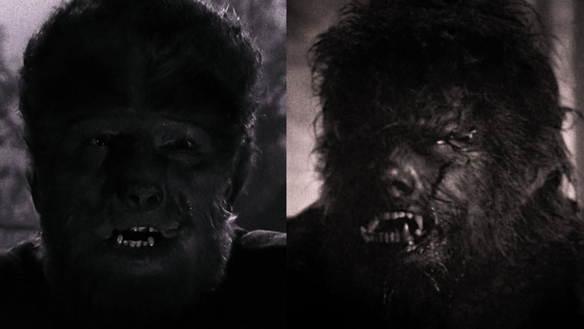 Werewolf Movies Daily tweet media