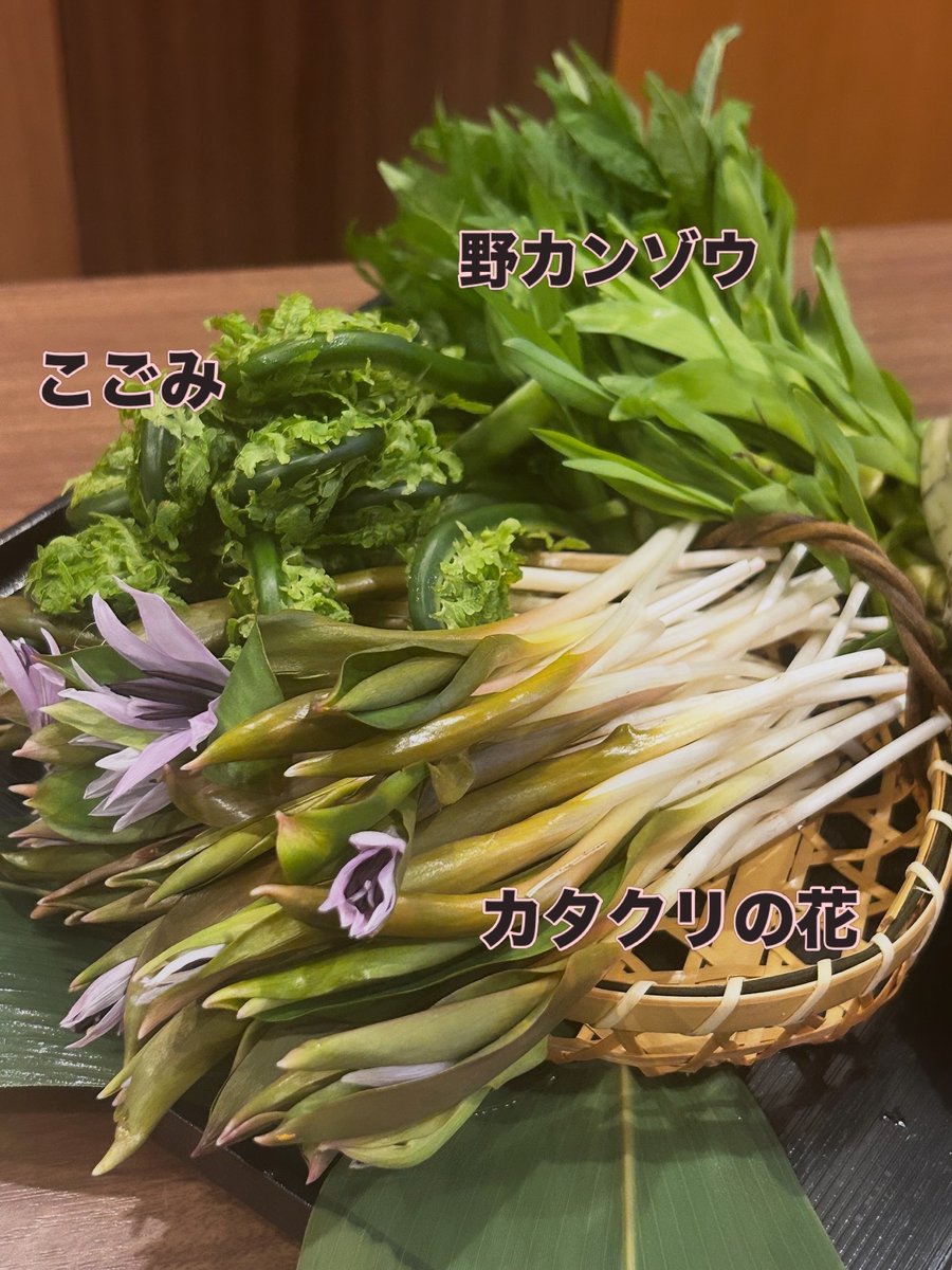 shunsaifujifuji's tweet photo. 春の一皿🌿

カタクリの花お浸し
やさしい苦味と、ほんのりとした甘み。

野カンゾウ酢味噌和え
シャキッとした食感に、さっぱりとした後味。

こごみと小鮎は天ぷらで。
春の香りと、ほろ苦さをサクッと。

香り、食感もそれぞれ違って一皿で“春”を感じられます。

季節をつまみに一杯どうぞ🍶 https://t.co/96fKwjhzcY