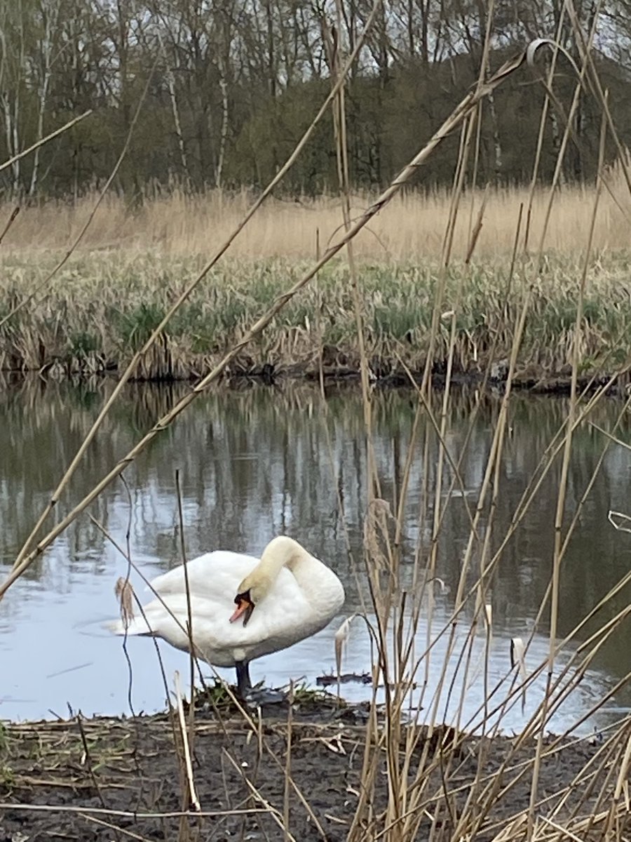 die Kühlschrank tweet media