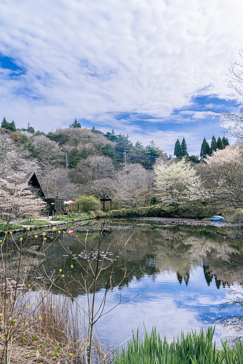 ROKKO森の音ミュージアム【神戸・六甲山】 tweet media