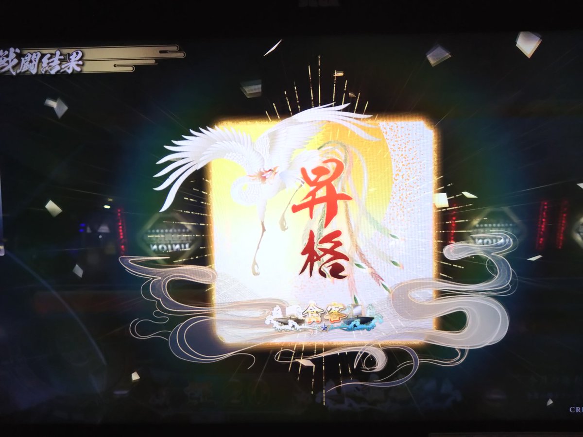 高嶺大助 tweet media