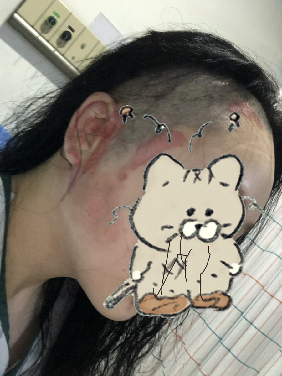 6시내고양 tweet media