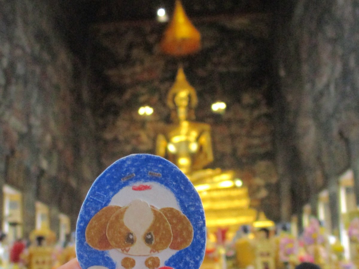 กุ้ดอัยล์ *.⊹ cms open ! tweet media