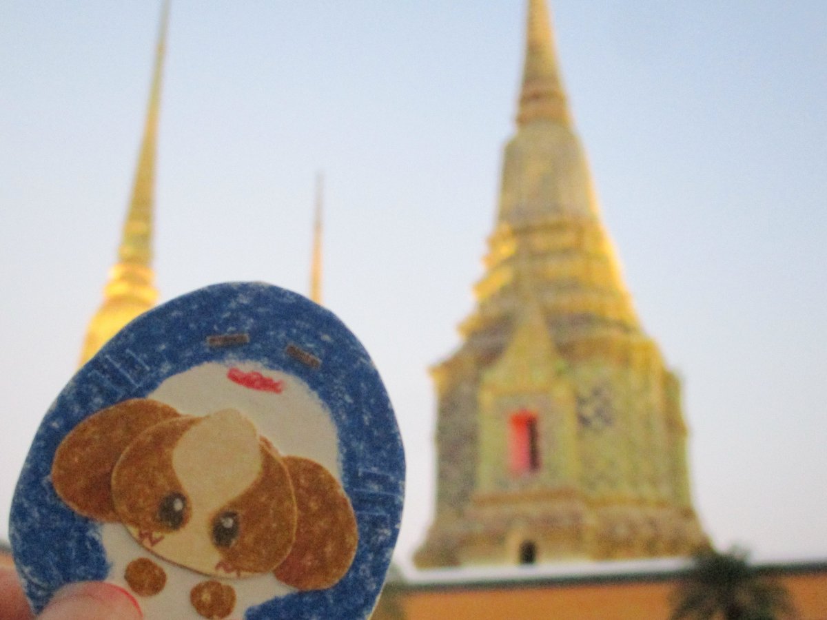 กุ้ดอัยล์ *.⊹ cms open ! tweet media