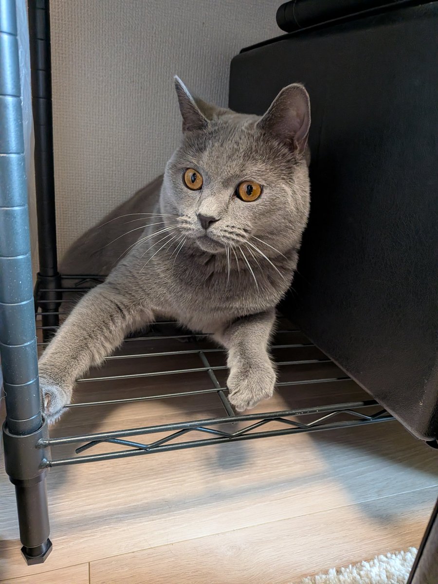 ともひろTHEたかゆき tweet media