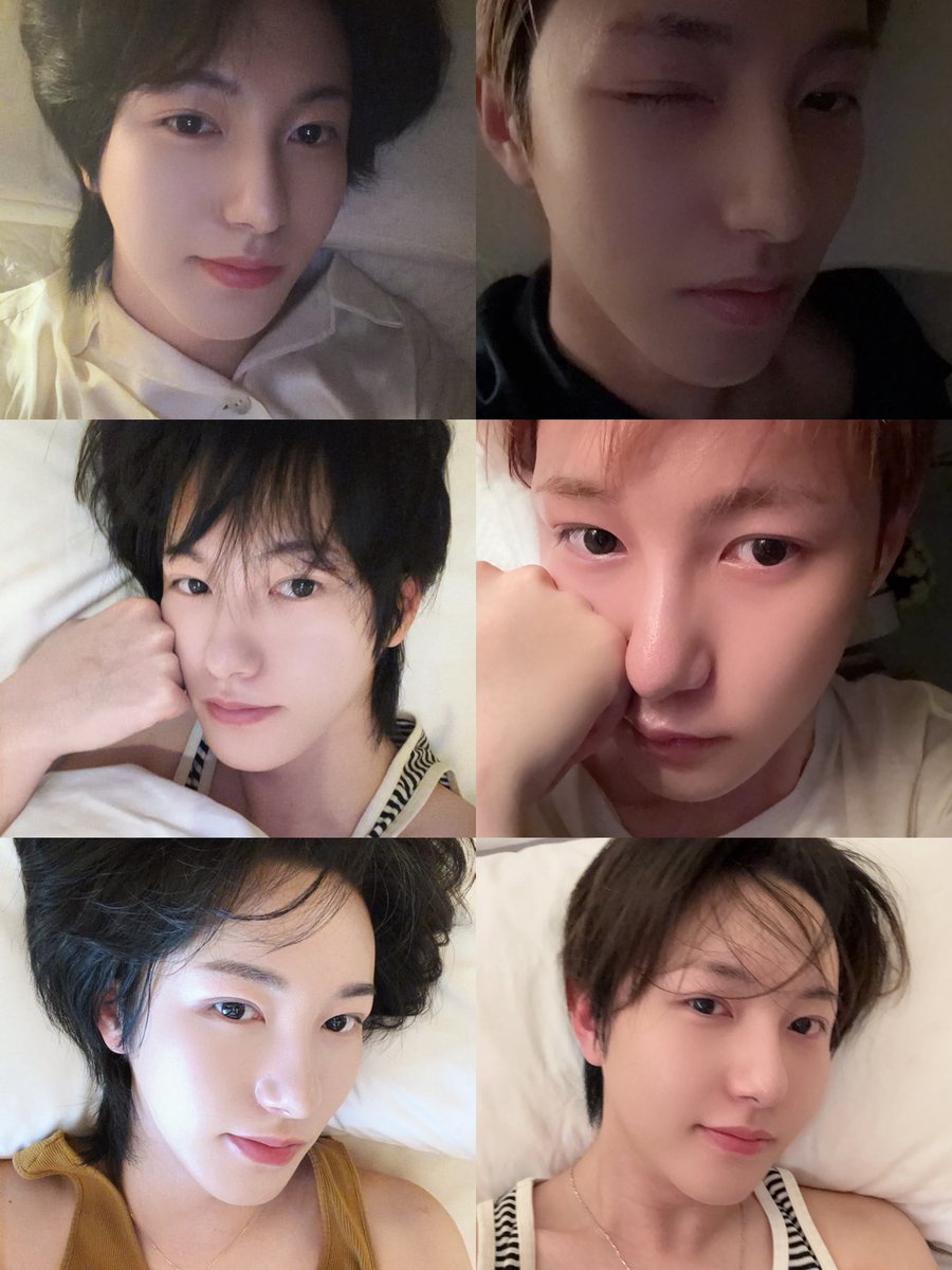 동베이따거(^_^) tweet media