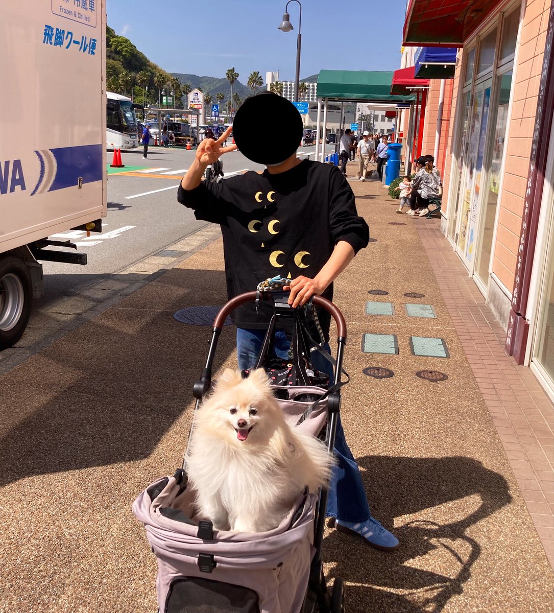 ヒダカ tweet media