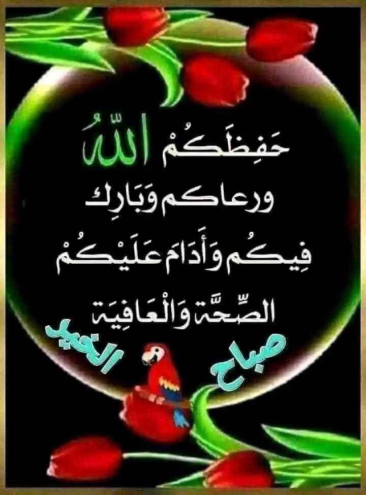 فريده tweet media