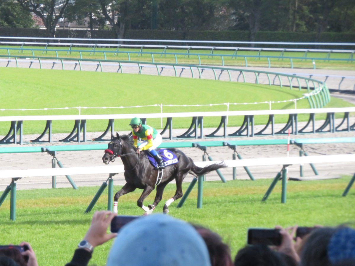 classic58 tweet media