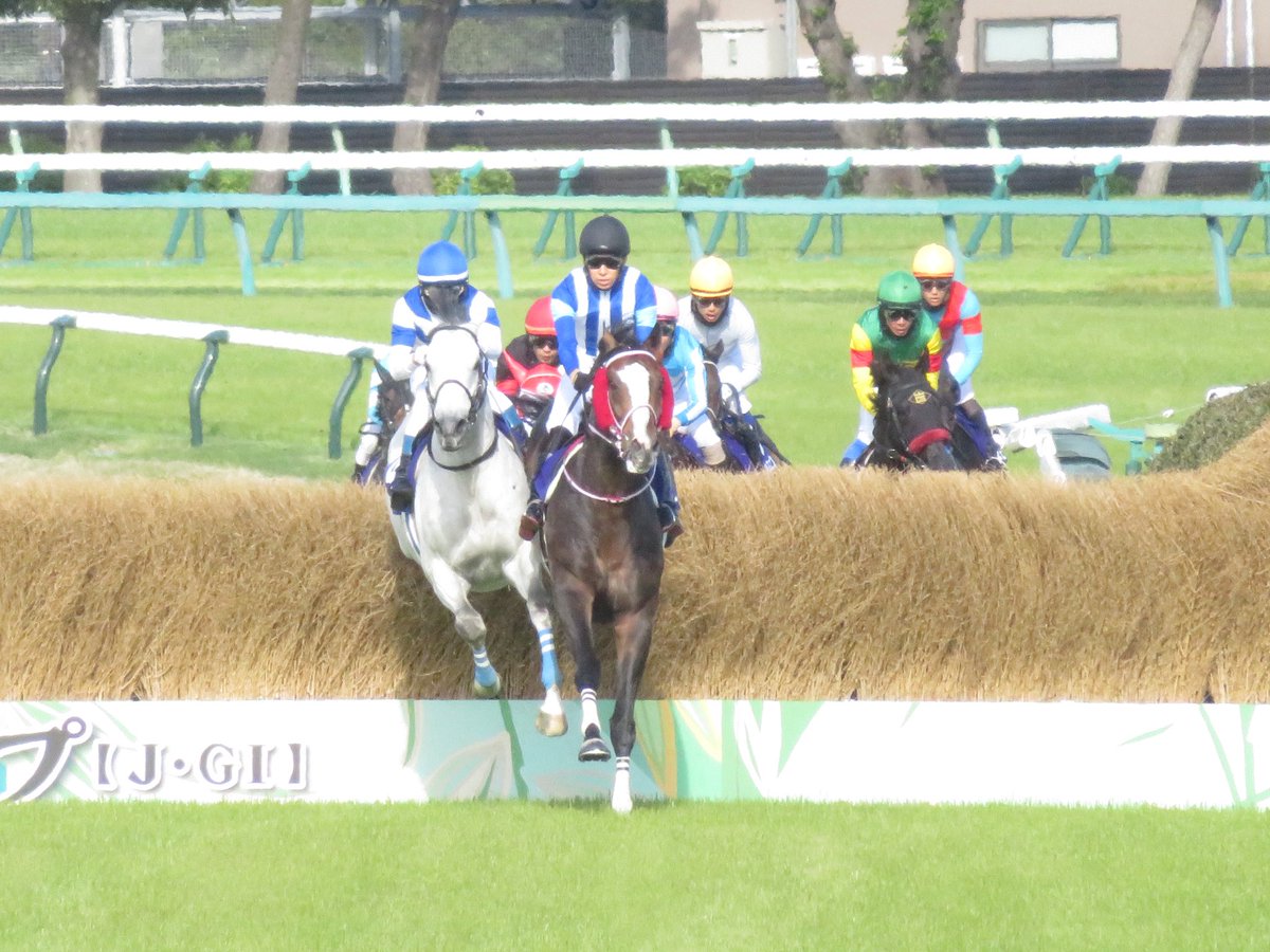 classic58 tweet media