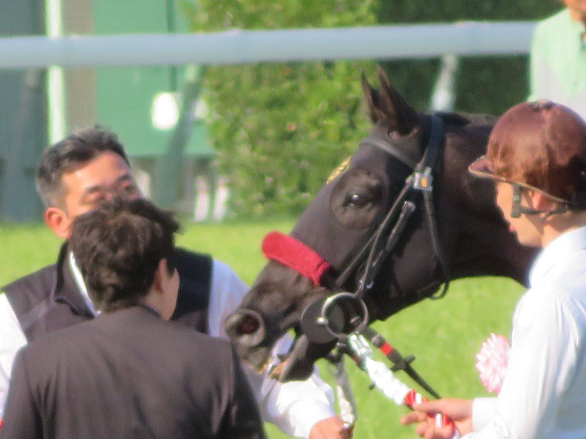 classic58 tweet media