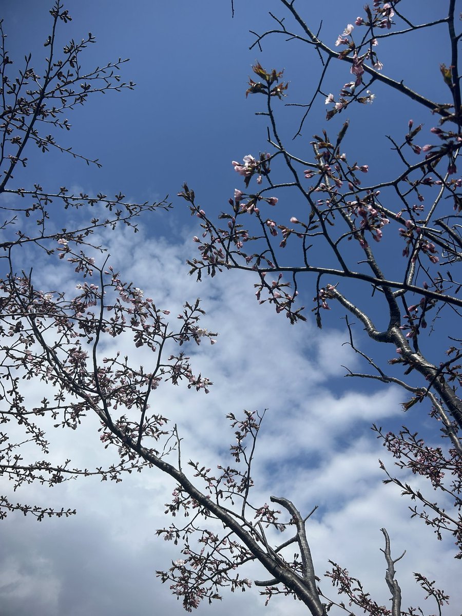 もすず tweet media