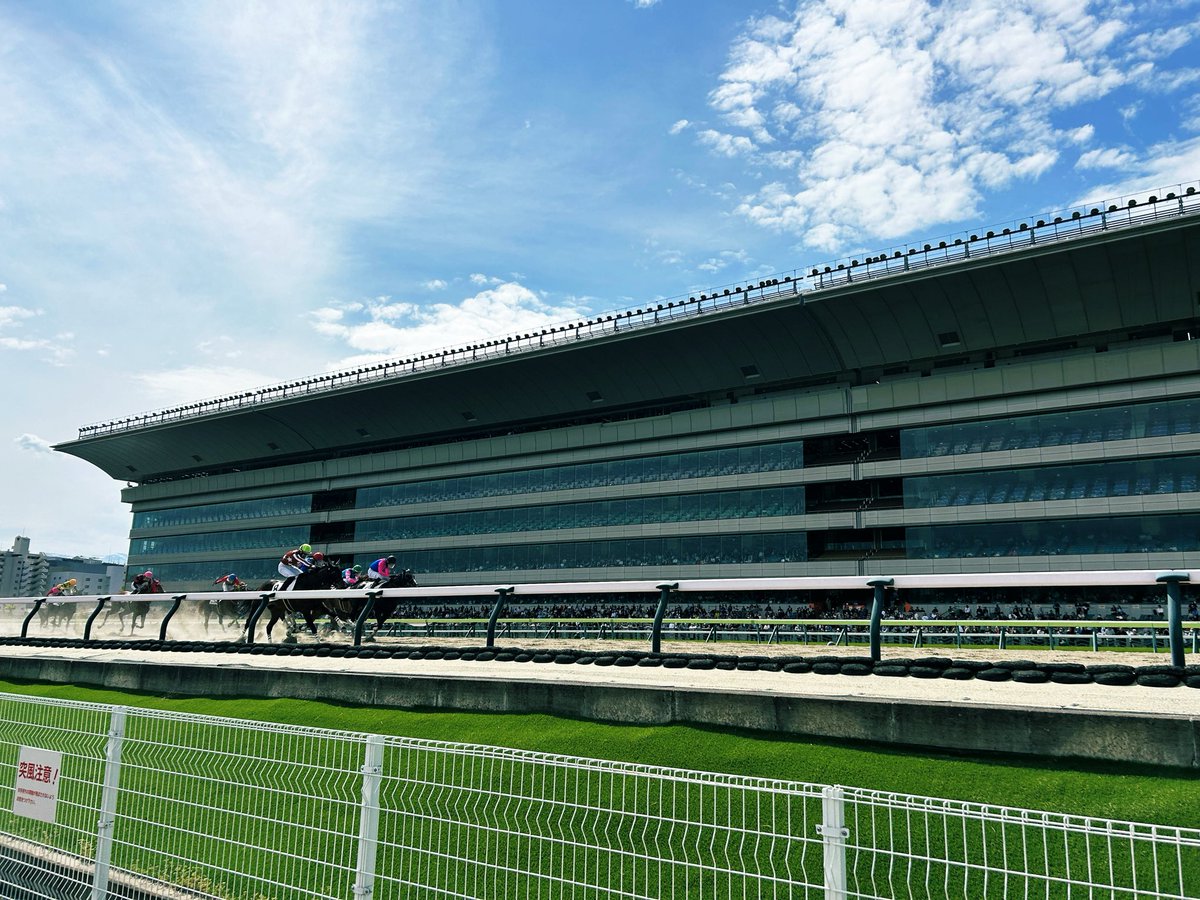 リスペコ tweet media