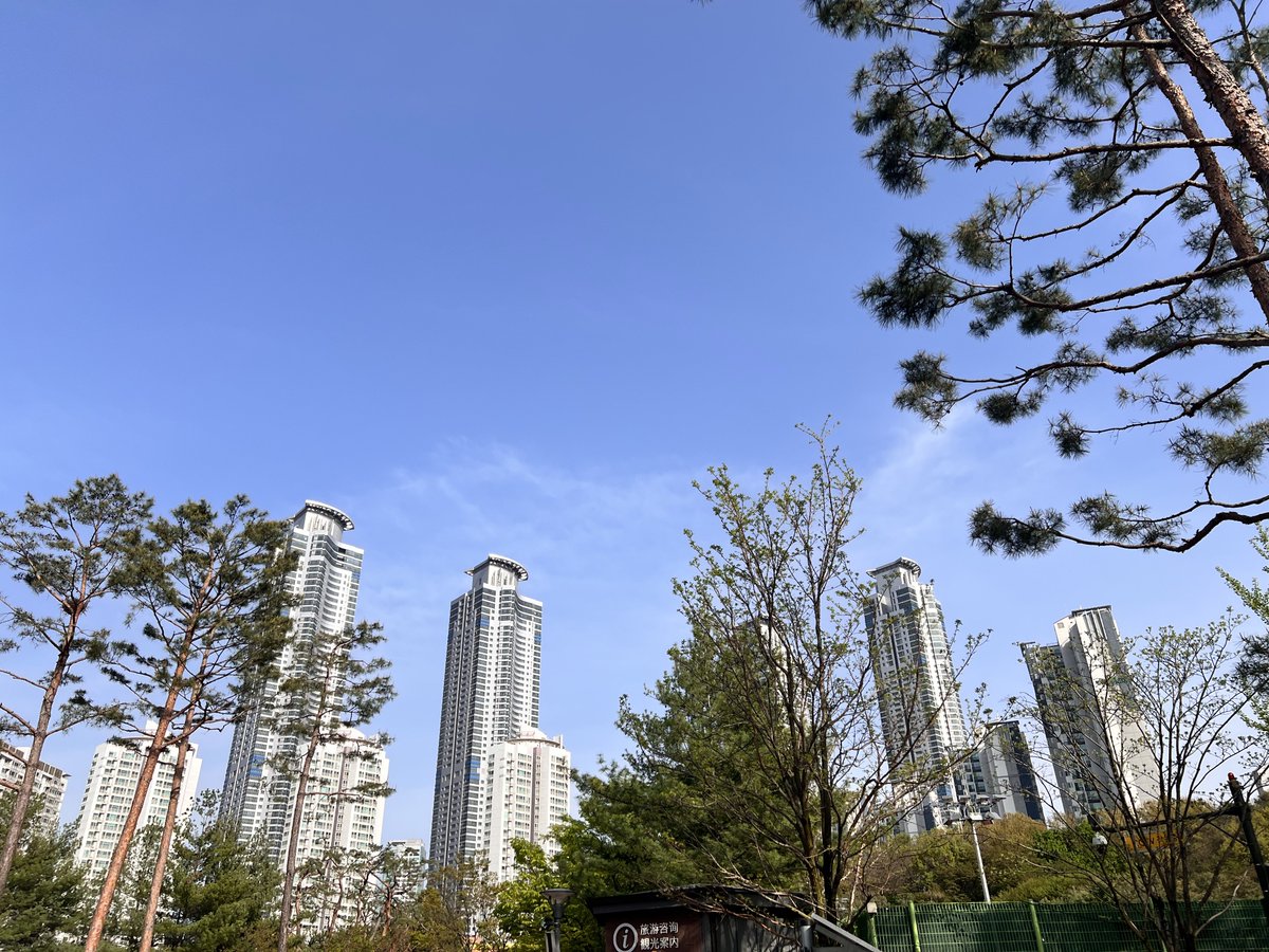 낭만술사 tweet media