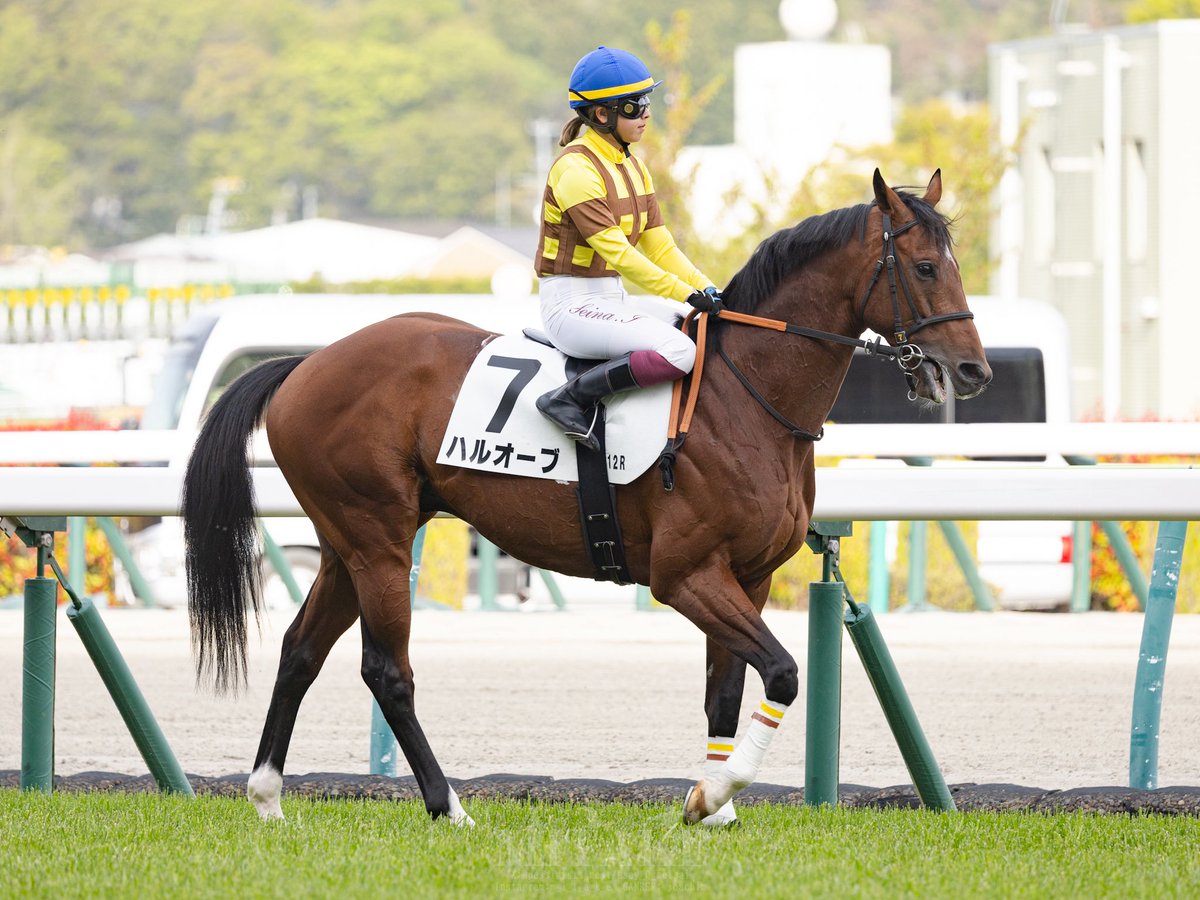 MITAKE(入厩中) tweet media