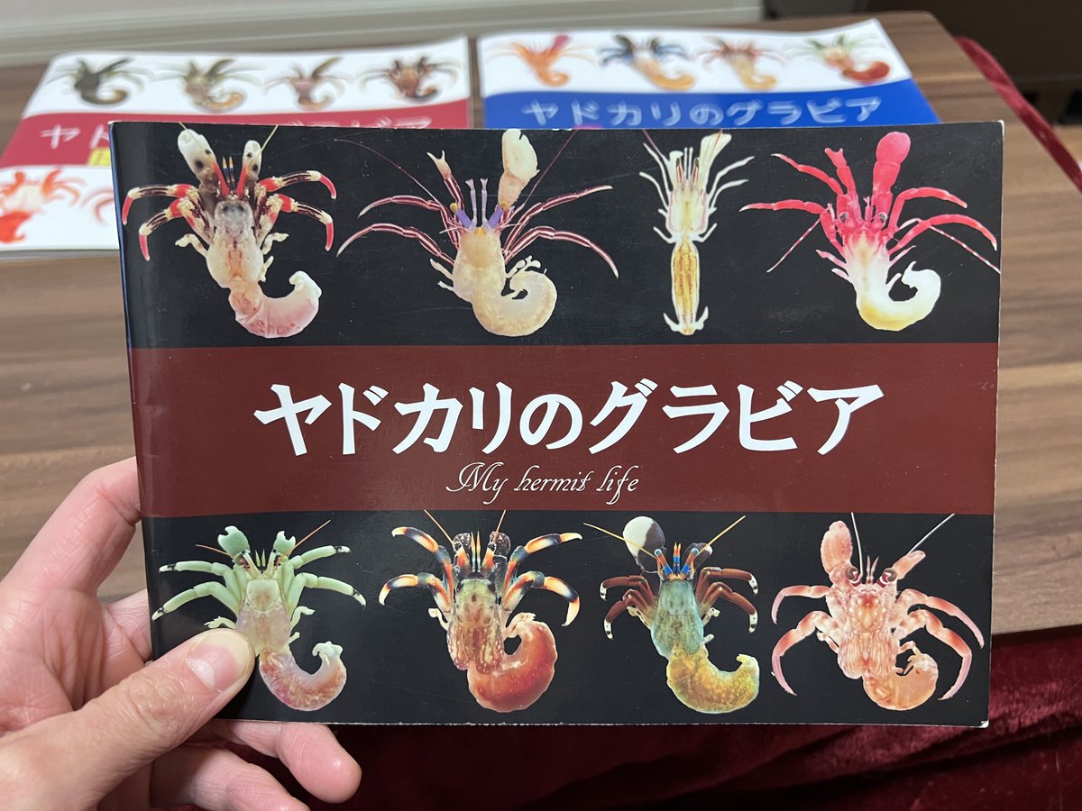 でんか tweet media