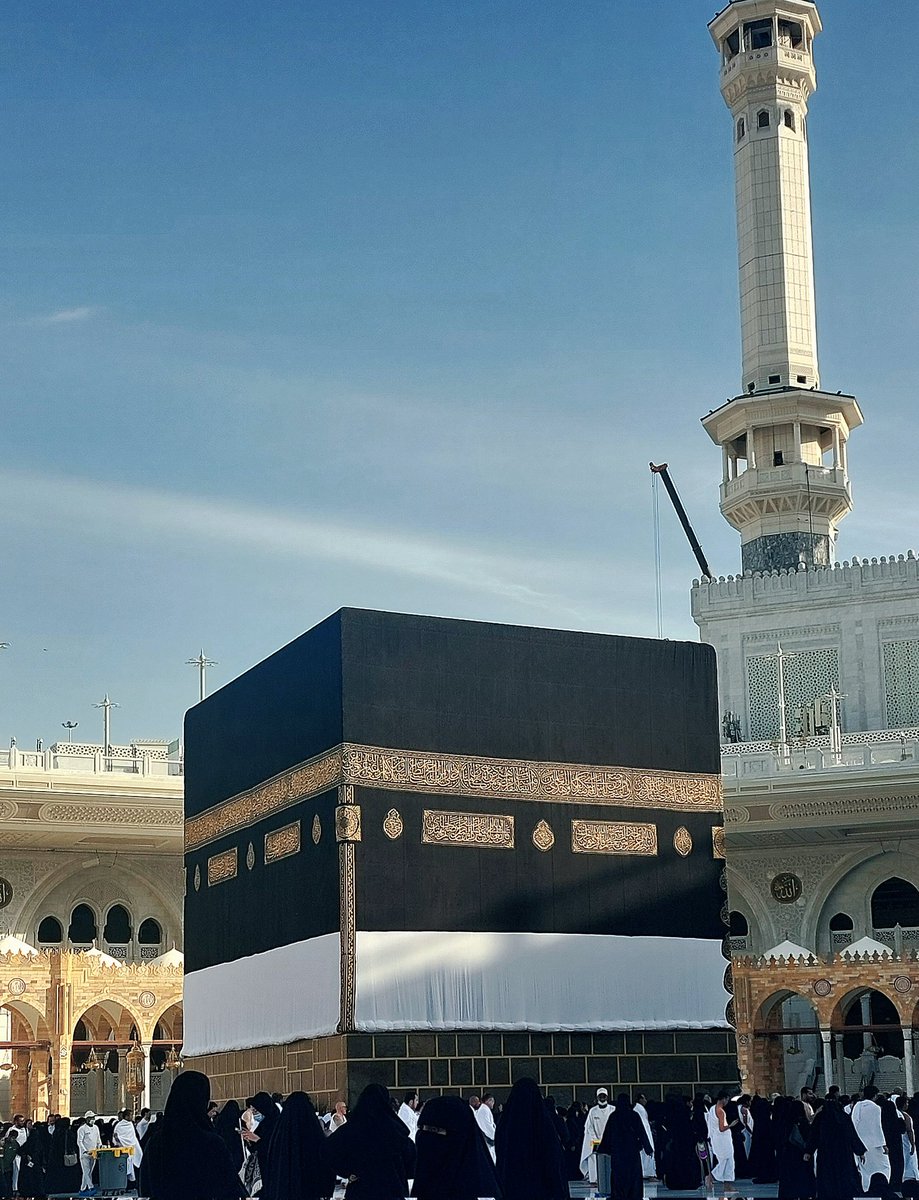 عفاف 🌿 tweet media