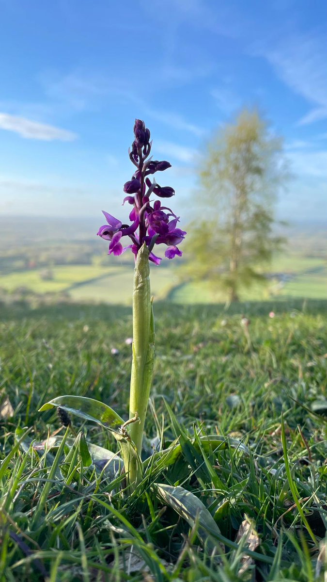 Love the South Downs tweet media